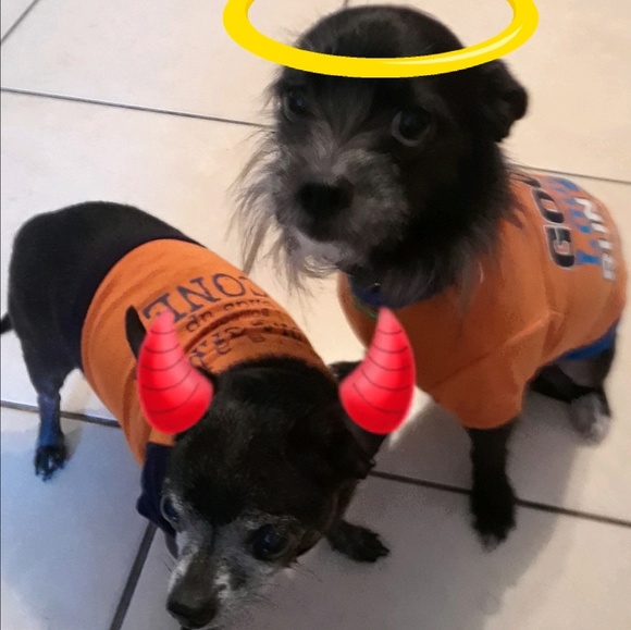 Meet your Posher, Marcia - Picture 1 of 1